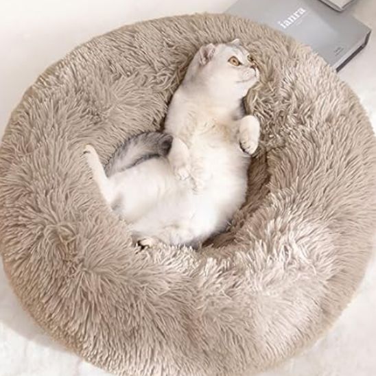 coussin chat beige pĂąle