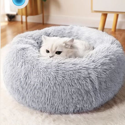 coussin chat gris pĂąle