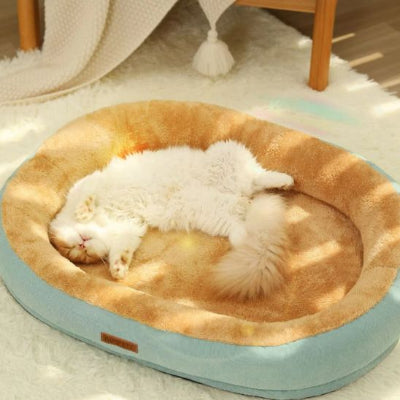coussin chat confortable avec espace