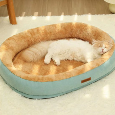 coussin chat spatieux