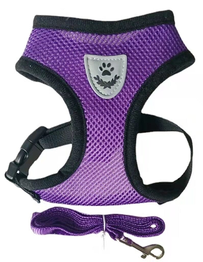 HarnaisMax™- Harnais ultra confort pour chien et chats | Chiens & chats - Sybelle&Compagnons