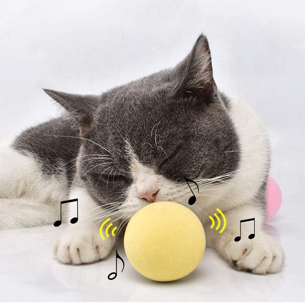 SmartBall™ - Balle intelligente d'apprentissage pour chat - Sybelle&Compagnons